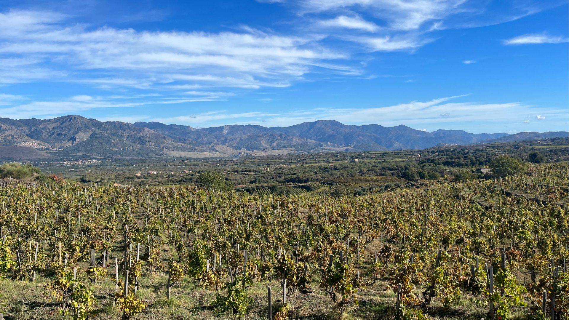 Why Etna Has Become One of Italy’s Most Watched Wine Regions
