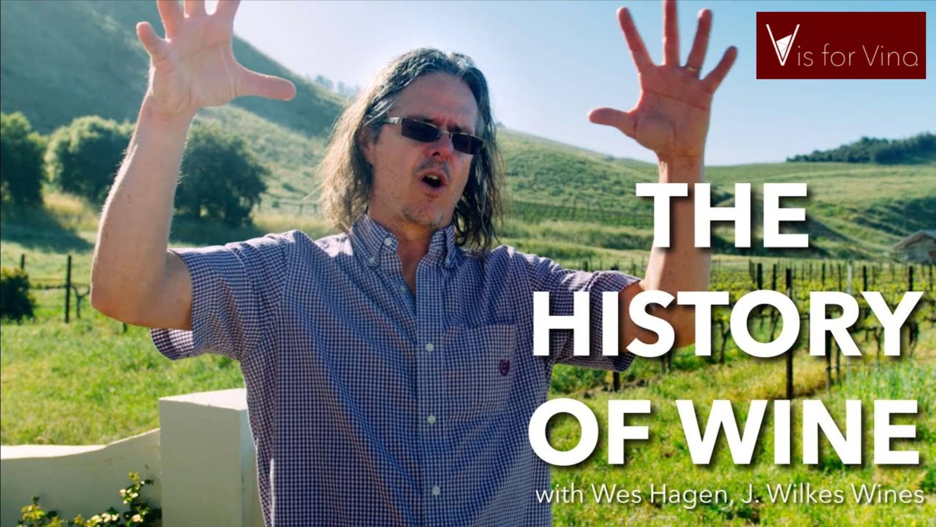 One Mutant Vine Changed the World And You're Drinking Its Descendants