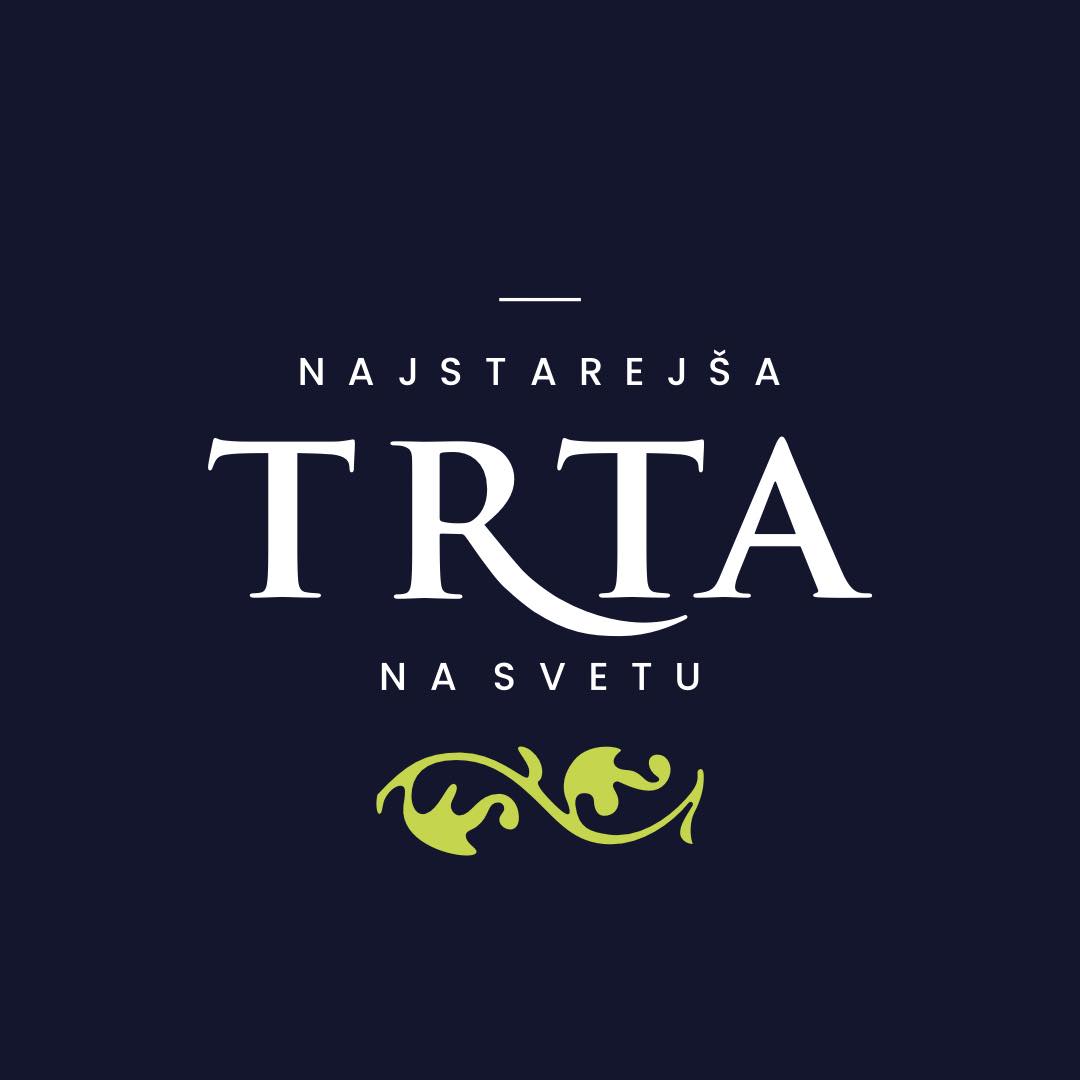 Najstarejša trta Maribor