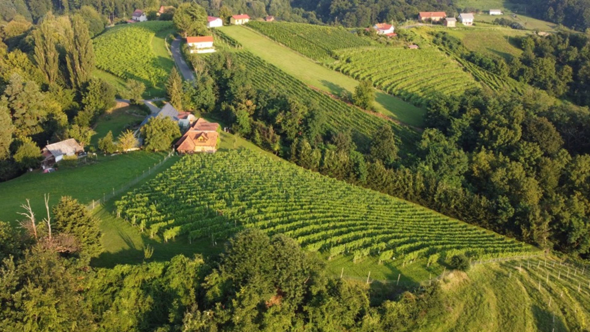 Clos Veličane cover